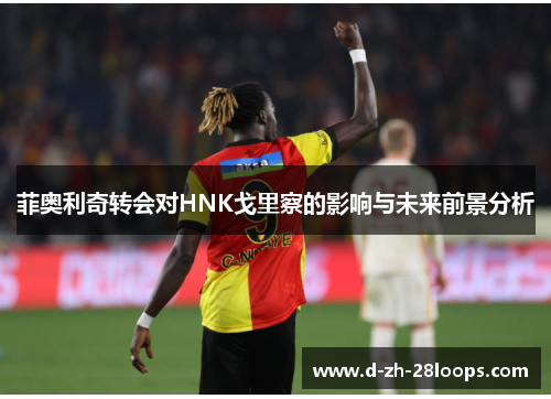 菲奥利奇转会对HNK戈里察的影响与未来前景分析 菲奥利奇转会对HNK戈里察的影响与未来前景分析