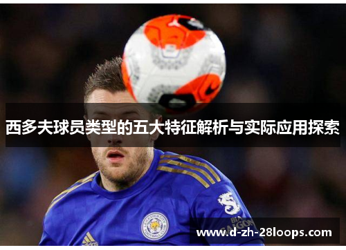 西多夫球员类型的五大特征解析与实际应用探索