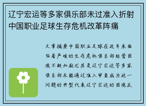 辽宁宏运等多家俱乐部未过准入折射中国职业足球生存危机改革阵痛